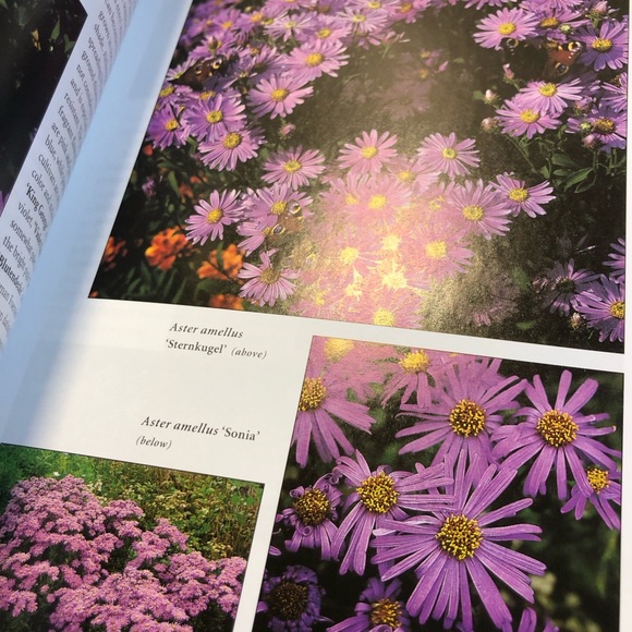 Botanicals Pocket Guide, really great book to help identify over 2000 plants - Picture 13 of 16